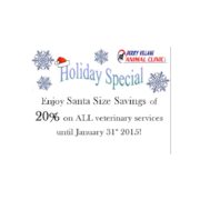 20% Off on All Veterinary Services