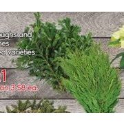 PC Boughs Or Branches - 3/$21.00