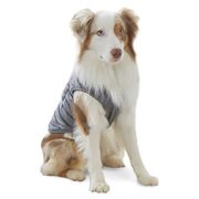 Therapedic® Weighted Pet Vest In Grey - $22.49 ($22.50 Off)