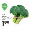 Fresh Broccoli - $1.99