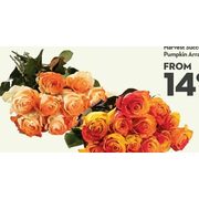 Tinted 12 Stem Roses Premium Ecuadorian  - $39.99 ($5.00 off)