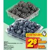 Blueberries or Blackberries - $2.00 off